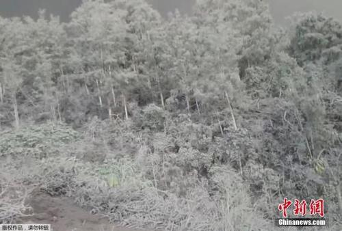 中国侨网12月1日消息，一组于26日发布在社交网络的印尼阿贡火山爆发后当地遭火山泥流冲击的照片。27日，印尼将巴厘岛阿贡火山警戒级别升至最高级。当地居民拍摄的画面显示，不少泥流冲入道路河流。