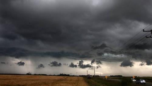 中国侨网(新西兰天维网)