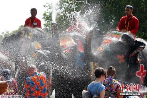 中国侨网资料图：泰国宋干节，大象向游客泼水。