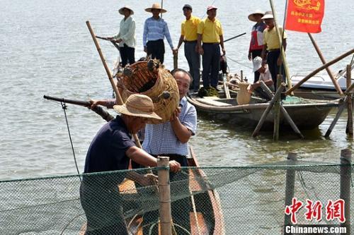 中国侨网资料图:蟹农展示大闸蟹晒幸福。王思哲 摄