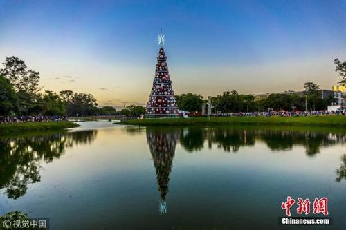 中国侨网资料图片：当地时间12月10日，巴西圣保罗，为迎接圣诞节，巴西一家公园修建高43米圣诞树。图片来源：视觉中国