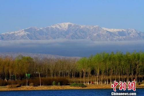 中国侨网一场春雨过后,远望祁连山,白雪皑皑、云雾缭绕。 陈礼 摄