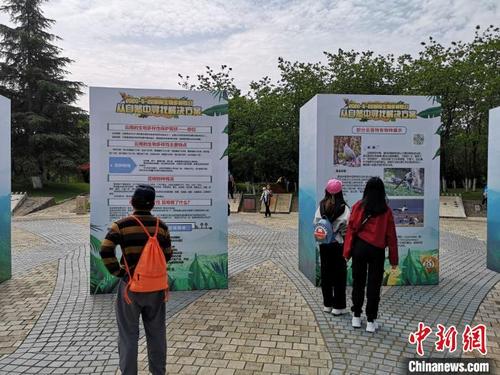 中国侨网图为活动现场 杜潇潇 摄
