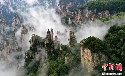中国侨网云雾在峰林间缭绕。　吴勇兵　摄