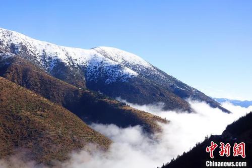 中国侨网10月23日，西藏自治区察雅县吉塘镇出现壮美的云海景观，山间云海与皑皑雪山交相辉映，宛入仙境。 冉文娟 摄