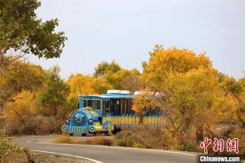 中国侨网伊吾县胡杨林景区旅游小火车。　艾小慧　摄