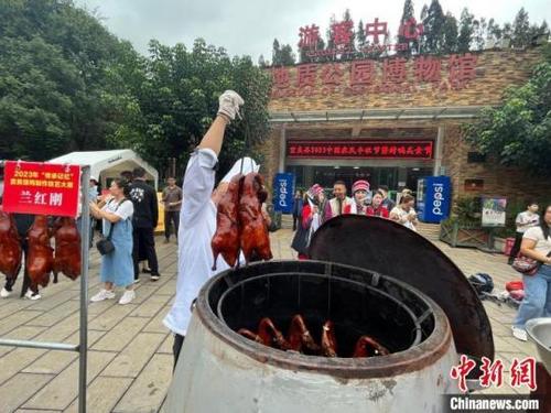中国侨网