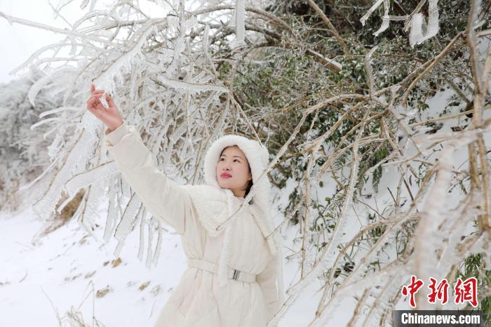 中国侨网图为一名游客在广西三江侗族自治县独峒镇大塘坳赏雪。龚普康 摄