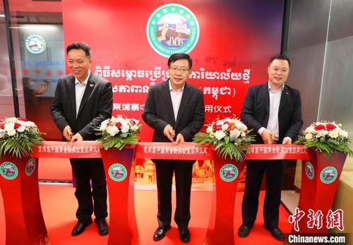 中国侨网柬埔寨中国商会办公新址启用仪式现场。　欧阳开宇　摄