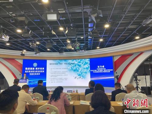 中国侨网海外商会助力民企拓市场专题交流活动现场。 黄慧 摄