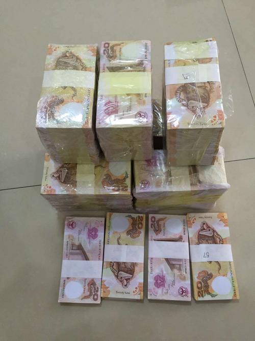 中国侨网网上兜售的假巴新货币。(巴新华助中心图片)