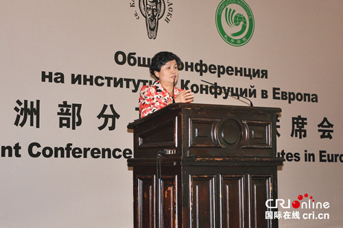 欧洲孔院联席会议开幕式上汉办主任许琳讲话
