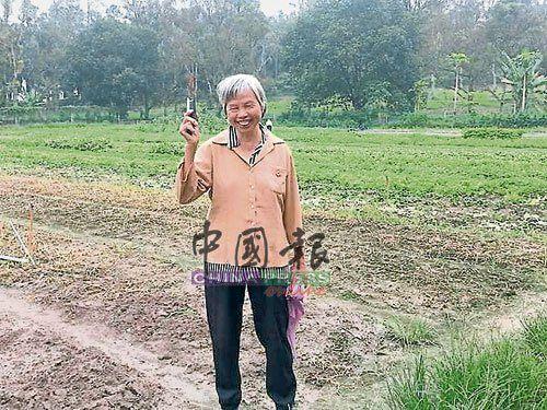 中国侨网谭东英生前有自己的菜园，但每日大部分的收入都用作慈善。（马来西亚《中国报》/胡传成 摄）