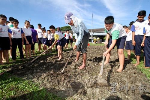 大马怡保一华小学生学农 亲身体验种植乐趣