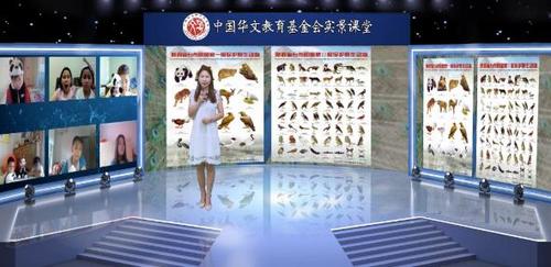 中国侨网(图片来源:中国华文教育基金会)