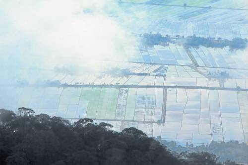 大马K10公路两大奇景