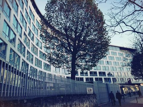 中国侨网-在联合国实习:不去一定会后悔?