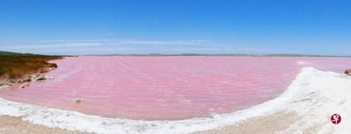 中国侨网粉红色的赫特泻湖，白色的盐呈现一个“笑”的表情。(新加坡《联合早报》)