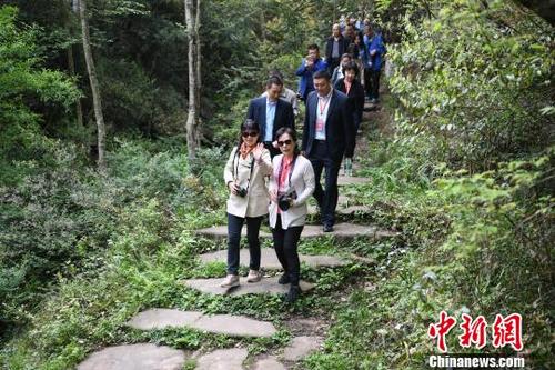 中国侨网海外华文媒体代表体验古蜀道。 张浪 摄