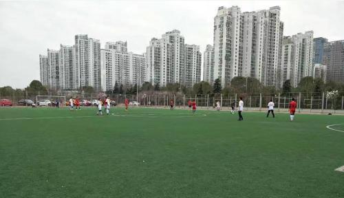 中国侨网足球场上的伤病非常频繁。 张一凡 摄
