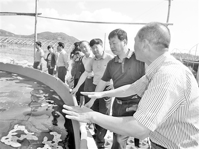 中国侨网10月20日,福建省侨办副主任林泽春与宁德市外侨办领导赴福鼎太姥山镇潋城村,实地考察基于硅藻南美白对虾健康养殖项目,并与福鼎朝辉水产开发有限公司总经理陶大贵等座谈,共商项目发展前景。(《福建侨报》)