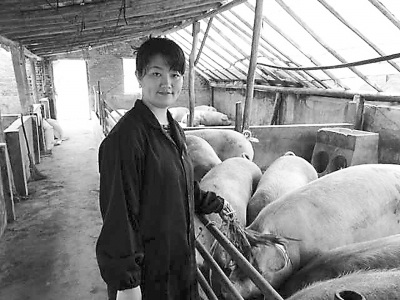 中国侨网 赵林飞正在喂食生猪。(《吉林日报》/陈沫 摄)