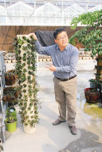 中国侨网图为卢绍基介绍铁皮石斛立体栽培技术。(《人民日报海外版》/严瑜 摄)