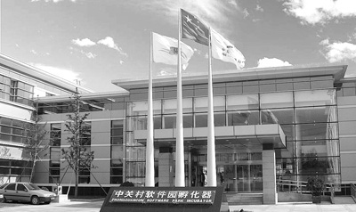中国侨网
