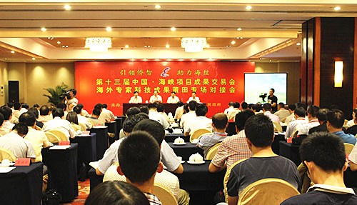 中国侨网6·18海外专家科技成果莆田专场对接会现场。