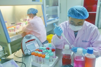 刘刚博士的团队正在实验室里工作。（《大河报》/吴国强
