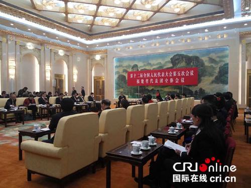 中国侨网十二届全国人大五次会议福建代表团举行全体会议 摄影:王涛