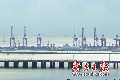 中国侨网按照前海“三城一港”的自贸新城建设布局,妈湾将建成“一带一路国际经贸合作先导区”。 南方日报记者 鲁力 摄
