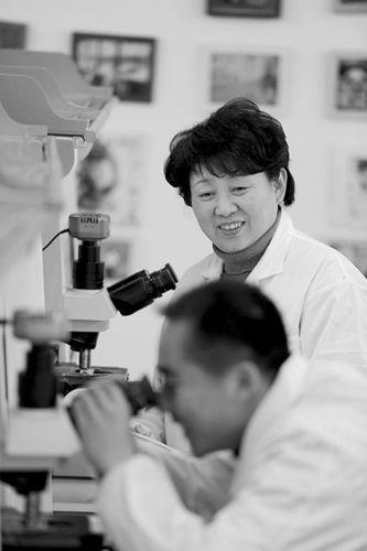 中国侨网资料图:孙小蓉在工作中。 (来源:武汉晚报)