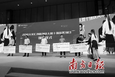 中国侨网2017广州天英汇国际创新创业大赛启动大会上,去年的大赛十强获颁落户奖金。 南方日报记者 刘力勤 摄