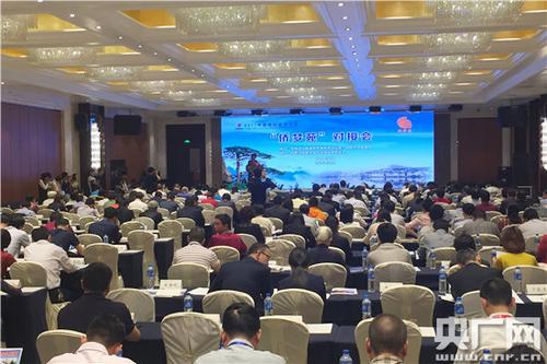 中国侨网大会现场。(图片来源:央广网)