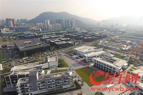 中国侨网前海梦工场吸引众多深港青年前来创业 金羊网记者 黄巍俊 摄