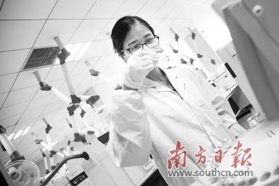 中国侨网长安东阳光的药物研发室,研发人员正在进行药物试验。南方日报记者 孙俊杰 摄