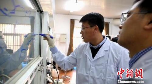 中国侨网中科院合肥物质研究院的科学家正在潜心工作。 孙策 摄