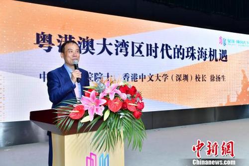 中国侨网中国工程院院士、香港中文大学(深圳)校长徐扬生在作主题演讲 主办方供图