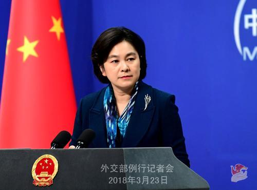 中国侨网外交部新闻发言人华春莹。图片来源:外交部网站。