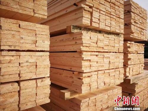 中国侨网图为首批运贸一体化模式运输的俄罗斯进口木材。　钟欣　摄