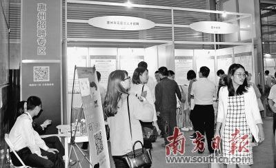中国侨网各类高端人才来到惠州展区交流。杨杰 摄