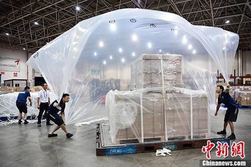 中国侨网8月5日凌晨,顺丰航空开通深圳—金奈全货机航班,装载小米手机配件从深圳宝安国际机场起飞运往印度金奈。图为4日晚,深圳机场国际货运中心工作人员在打板区作业。 中新社记者 陈文 摄
