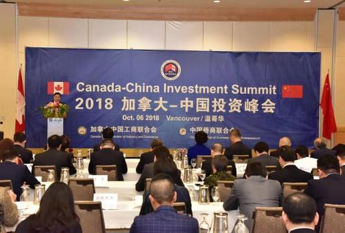 中国侨网(中国侨商联合会供图)