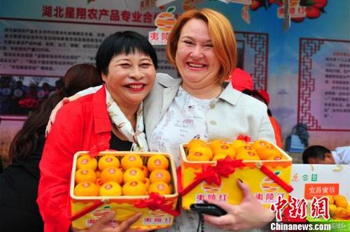 中国侨网40余家海内外客商三峡夷陵“觅橘” 李重庆 摄