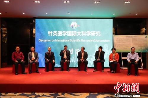 中国侨网图为论坛现场。 王鹏 摄
