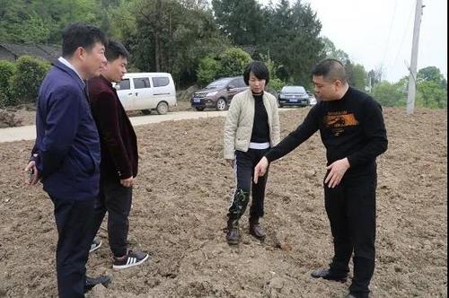 中国侨网(贵州省侨联网站图片)