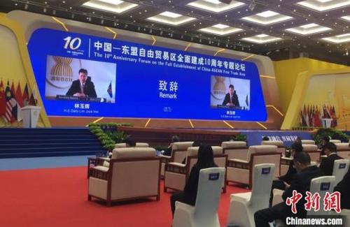 中国侨网中国—东盟自由贸易区全面建成10周年专题论坛在南宁举办。 黄令妍 摄
