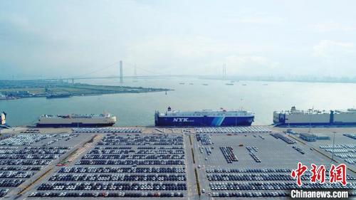 中国侨网NYK(日本邮船株式会社)“海王星领袖”滚装轮在广州港南沙汽车口岸靠泊。 广州港集团供图