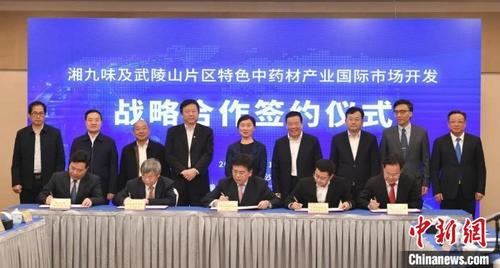 中国侨网签约。 湖南省政协供图